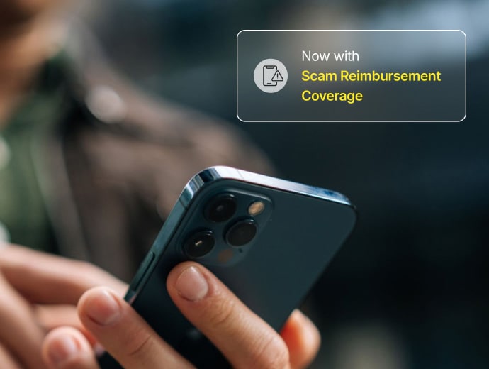 Scam detection notification