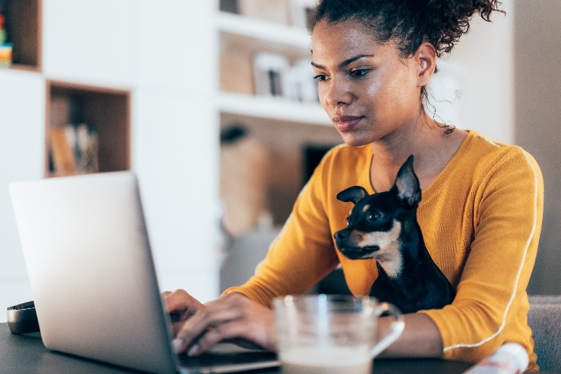 A woman on a laptop protecting herself from identity theft and holiday shopping scams.