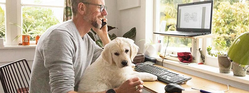 A man sit at a computer with a dog learning about how to protect his Social Security number.