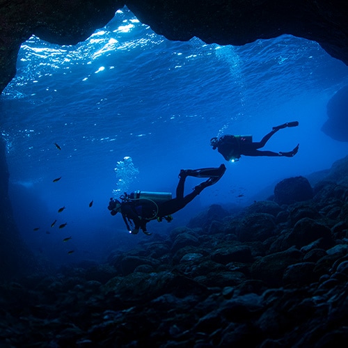 Dark web scans: How they work and the best tools